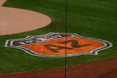 DSC_1686 (Large).JPG